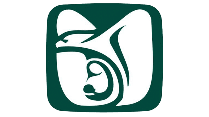 IMSS